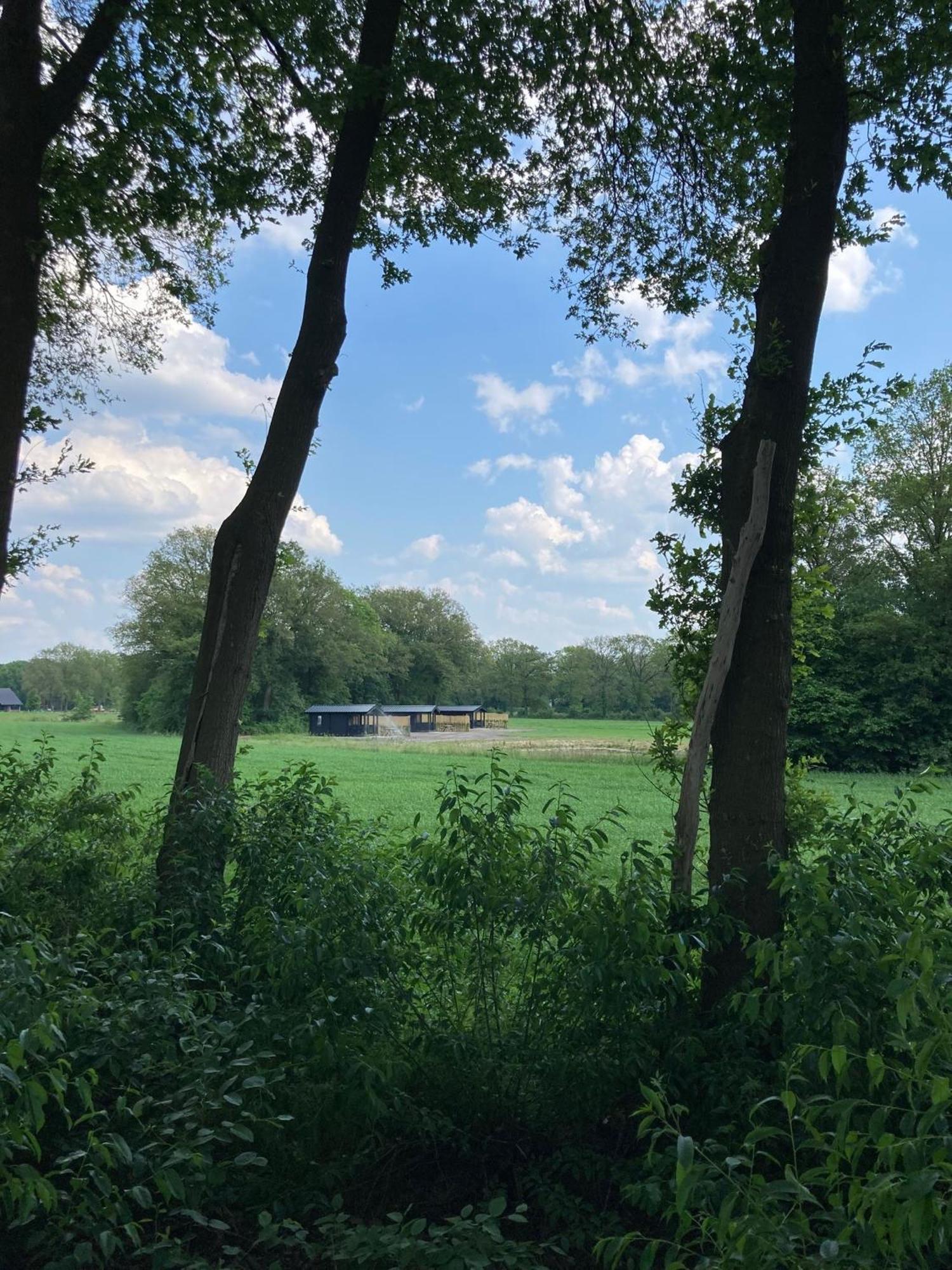 Holiday home Hut Bornerbroek