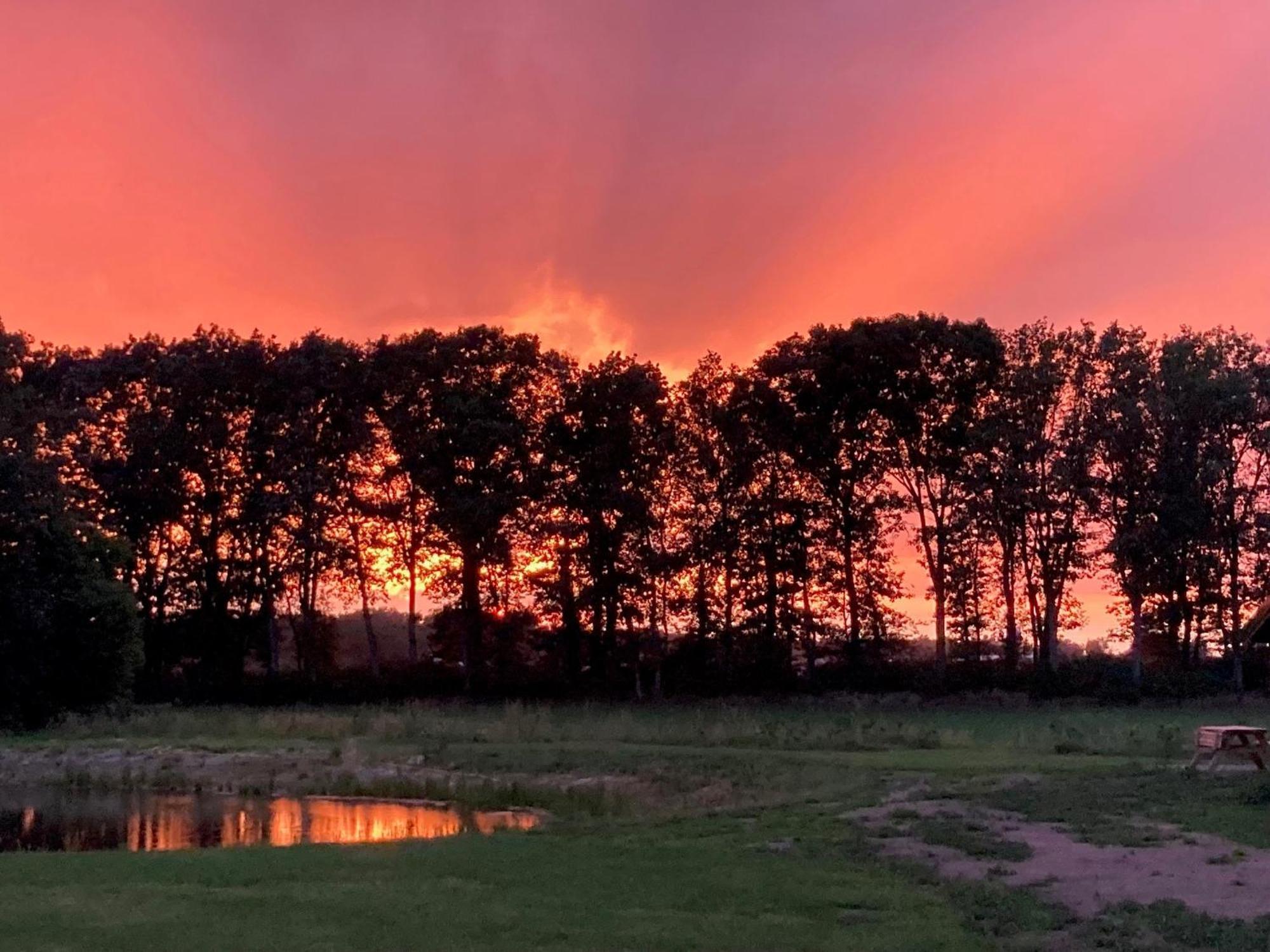 Hut * Bornerbroek
